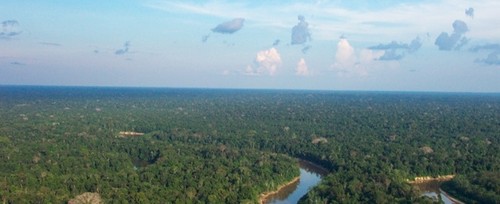 La importancia de la Amazonia en la regulación de la química atmosférica
