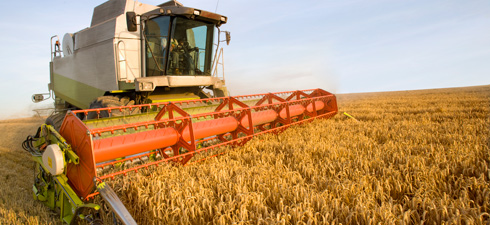 PAC El camino más sostenible sigue cuesta arriba