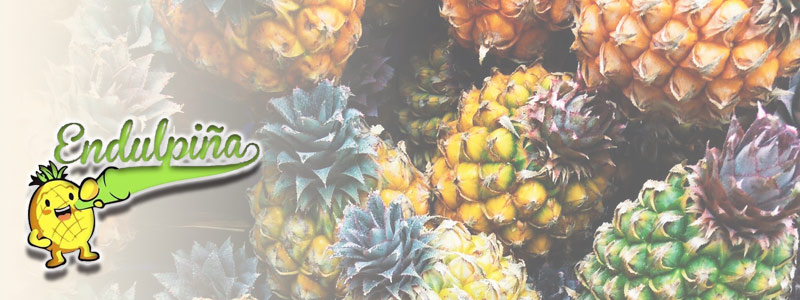 Crean edulcorante natural libre de conservadores