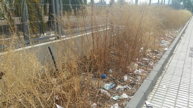 El Ayuntamiento de Jaén lamenta que la Junta de Andalucía "haya dejado sin desbrozar y limpiar solares"