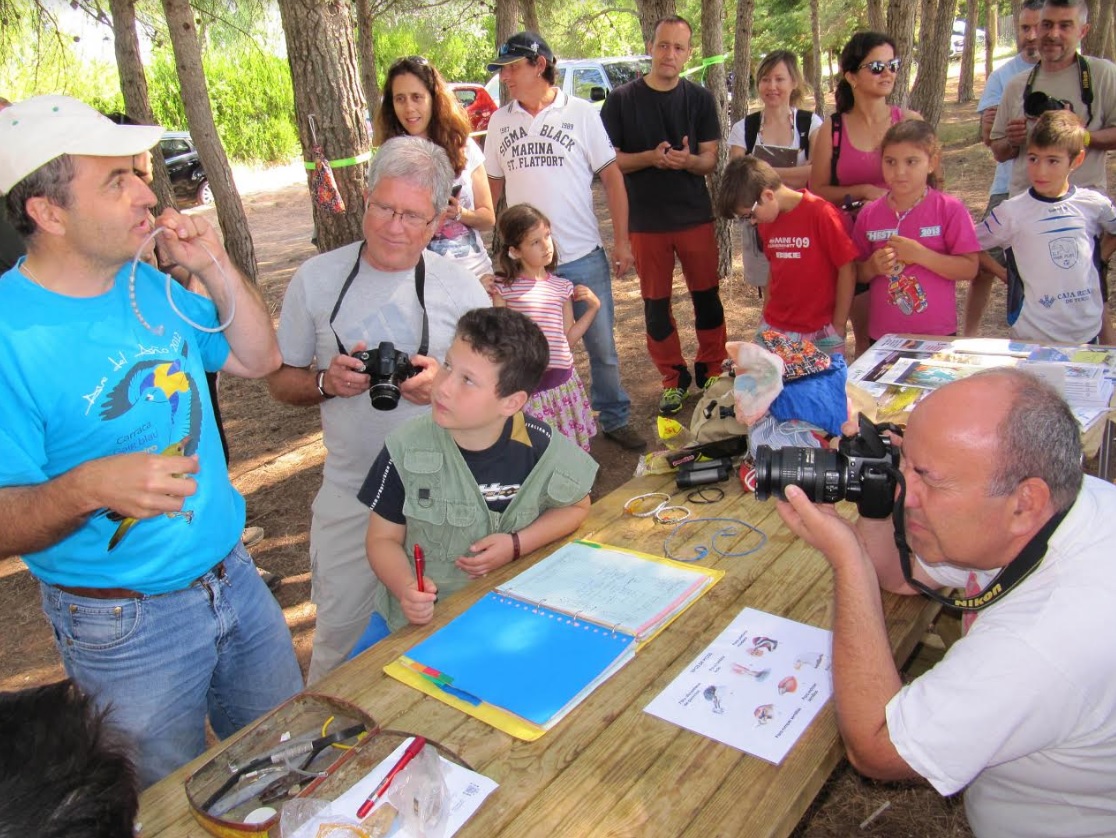 Avifauna en Tierras Altas de Soria: Avistamiento y anillamiento de pájaros
