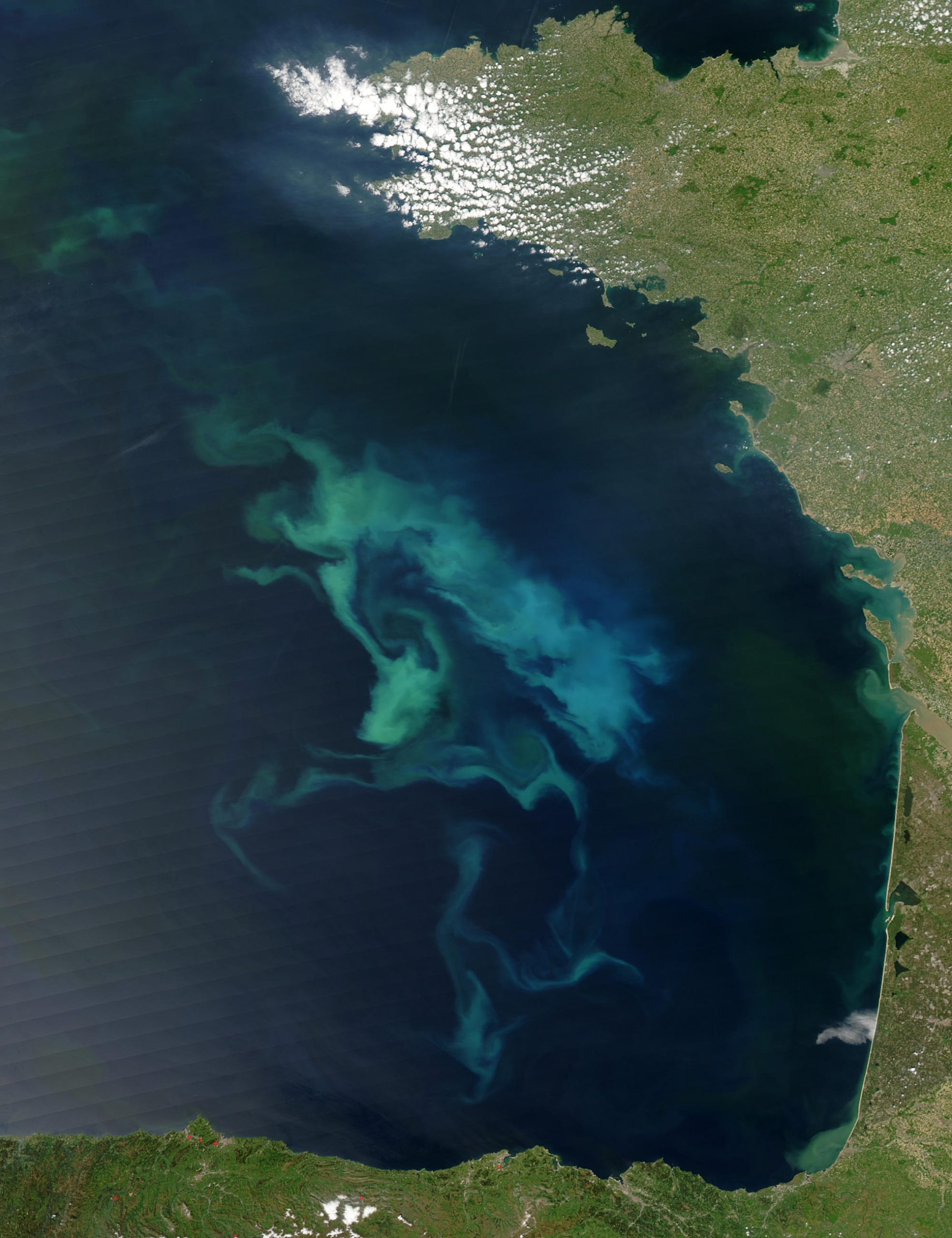 Las biomasas de fitoplancton y zooplancton se reducirán por el cambio climático