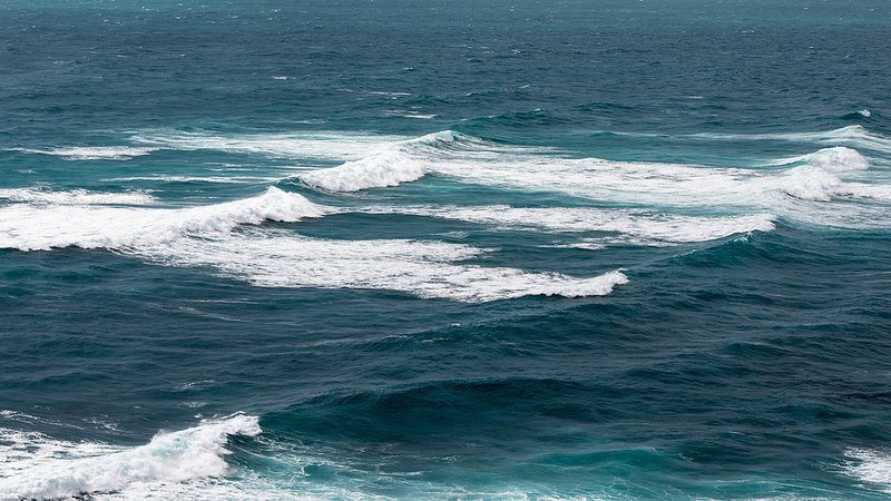 Investigan los inciertos cambios del sumidero marino de CO2