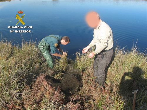 Capturan ‘ilegalmente’ anguilas en las Marismas del Odiel