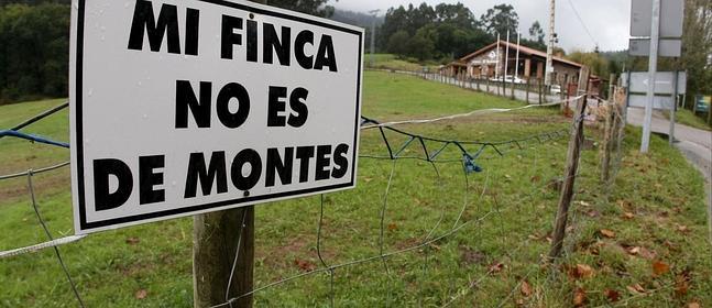 Andalucía recurrirá ante el TC la Ley estatal de Montes