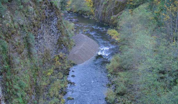 Una plataforma bioinformática analiza la capacidad de un ecosistema para autodescontaminarse