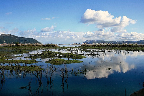 Biodiversidad abre expediente sancionador contra el camping Los Molinos