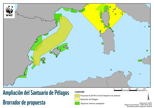 Baleares recibe una nueva propuesta de protección marina