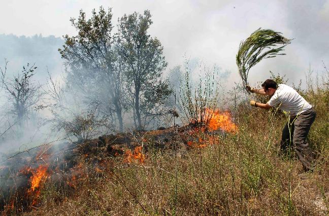 Inhalación de humo principal causa de muerte en los incendios forestales