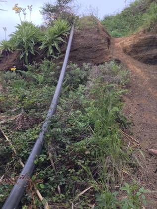 Meten tuberías ‘ilegales’ en el espacio protegido del Parque Rural de Doramas (Canarias)