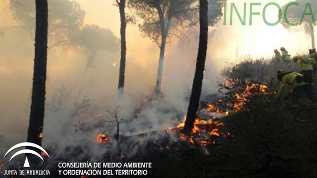El incendio en el paraje Nazaret de Moguer afecta a tres hectáreas de matorral y arbolado