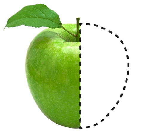 Congreso SAVE FOOD 2016