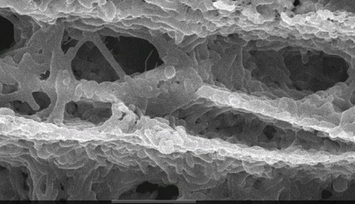Crean un material que descontamina aguas residuales