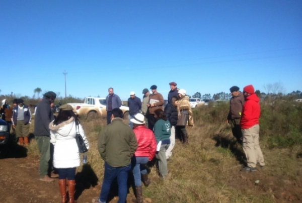 Hacia un campo nativo y saludable
