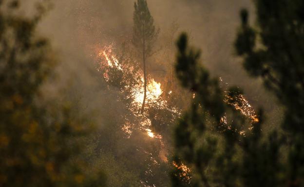 Nueve municipios asturianos presentan un índice de riesgo extremo por incendios forestales