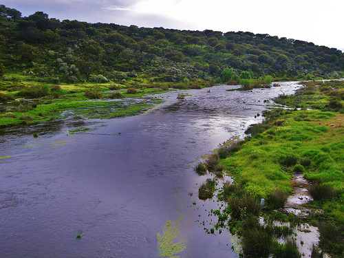 La Asociación Natura 2000 critica el "deterioro" de las zonas de baño de los ríos extremeños