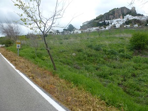 Parque Nacional Sierra de Grazalema ‘contaminado’ con glifosato
