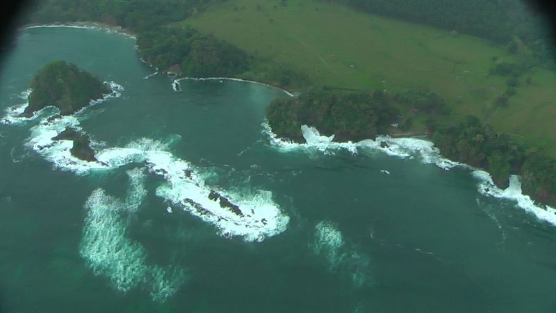 La tortuga más grande del mundo ya tiene su santuario en Colombia