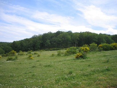 Restauración de escombreras