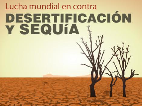 Día Internacional contra la Desertificación y la Sequía vs España