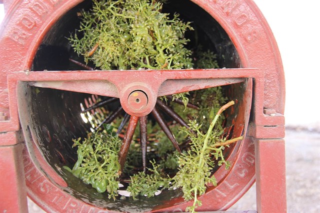 Triodos Bank financia 33