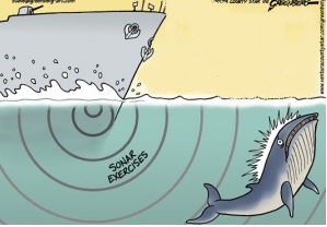 Canadá: Ambientalistas ganan batalla contra pruebas navales en la costa del Océano Pacífico