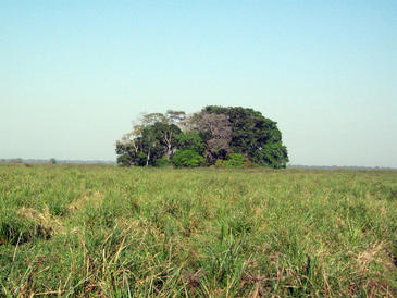 La misteriosa isla del Tesoro de la Amazonia boliviana guarda la basura de sus primeros habitantes