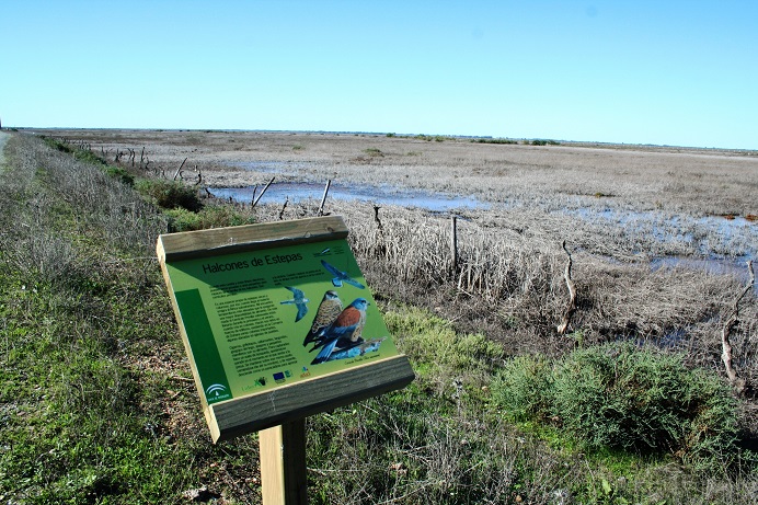 ADAD presenta en FIO Extremadura la ‘Red de Senderos de Turismo Ornitológico del Aljarafe-Doñana’