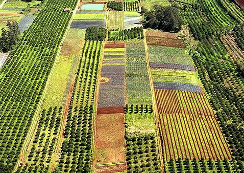 Bilbao acogerá unas jornadas sobre resolución de conflictos ambientales