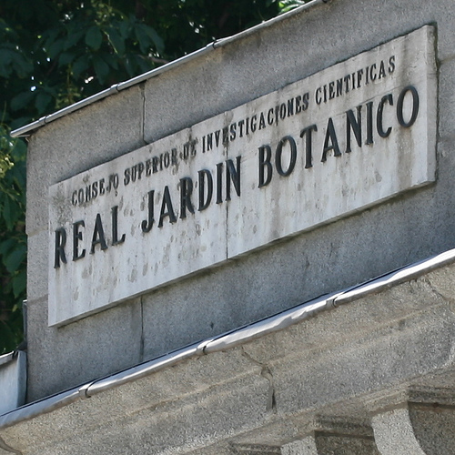 Observatorio de Árboles Singulares y Monumentales para fomentar su conservación