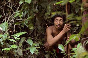 Una investigación muestra que los madereros ilegales están cercando a la tribu más amenazada de la Tierra