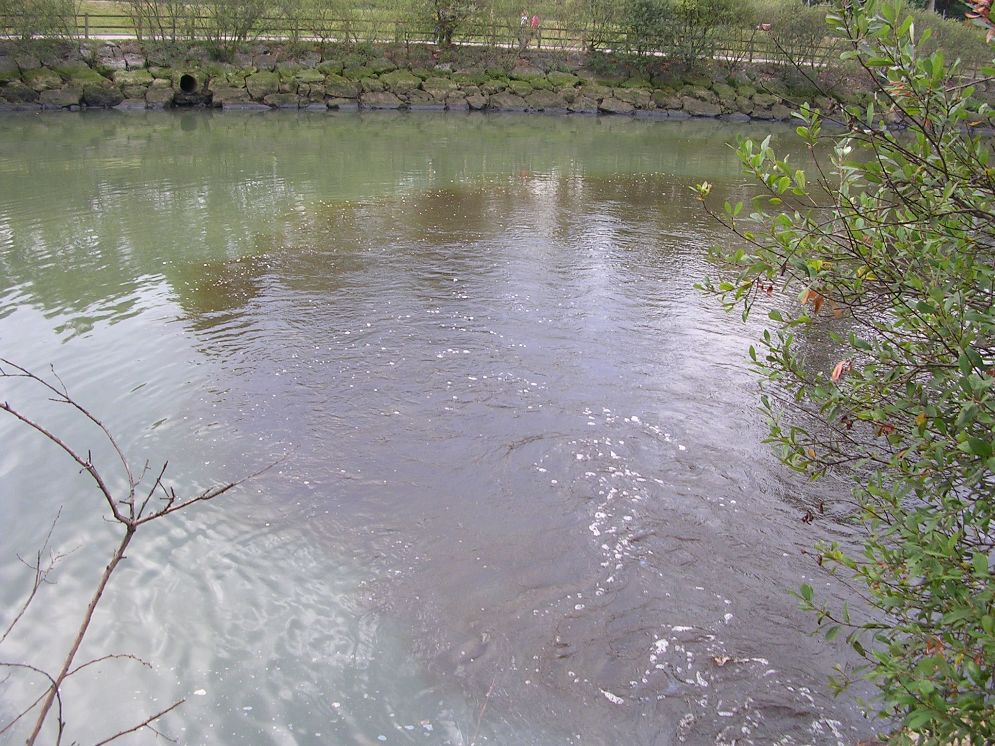 Asturias. Nuevo vertido en la ría en el día de Avilés