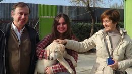 Nace un protectora ‘exprés’ disponible 24 Horas en Madrid para adoptar animales