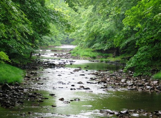 La mayoría de los andaluces se muestra preocupados por la biodiversidad en la región