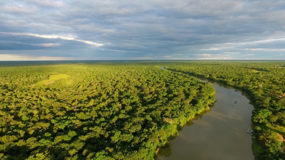 Argentina. El Impenetrable