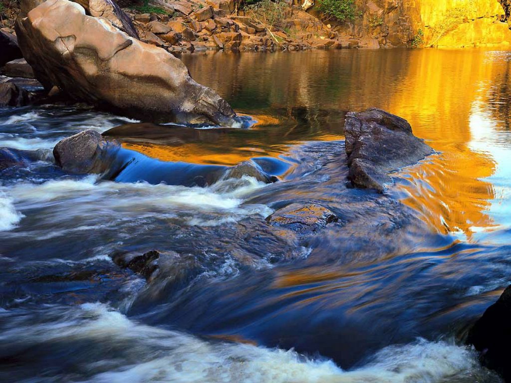 La biodiversidad mejora la calidad del agua