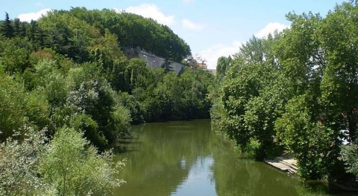 Conoce la fauna acuática de Pamplona