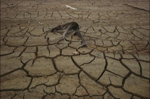 La degradación de tierras y agua amenazan la seguridad alimentaria