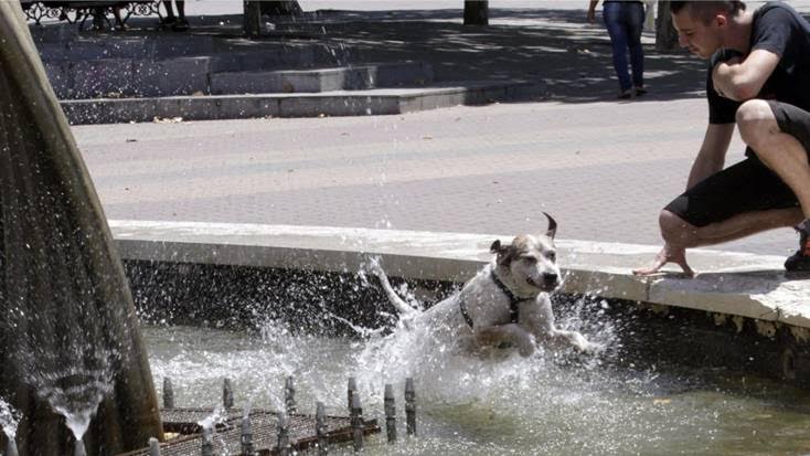 Trigueros del Valle (Valladolid)