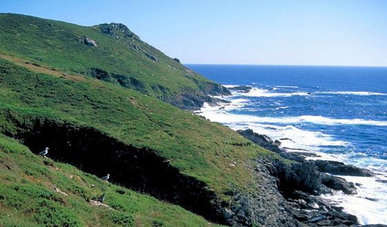 La Ley de Parques Nacionales permite la intervención del estado ante situaciones extraordinarias