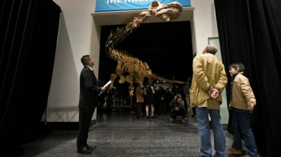 El Patagotitán fue considerado el más grande de todas las especies