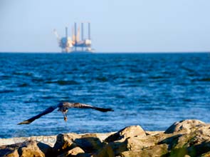 G-20 urges phasing out of fossil fuel subsidies