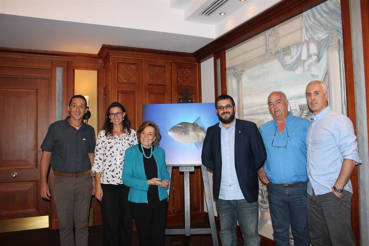 Proyecto Mission Blue