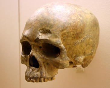 Los primeros humanos modernos que salieron de África después migraron a Arabia