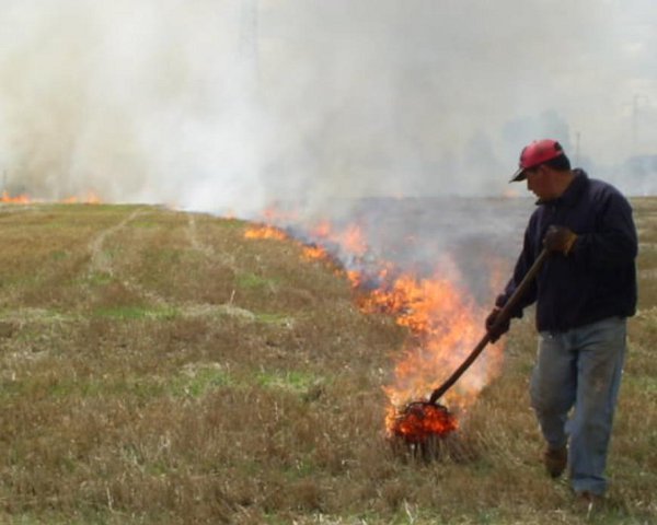 Medio Ambiente de Almería prorroga la prohibición de quemas agrícolas un mes por la sequía