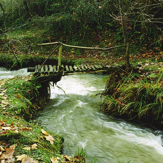 Los espacios naturales de La Viesca