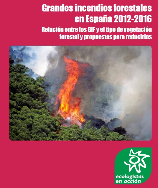 Dónde se producen los mayores incendios forestales