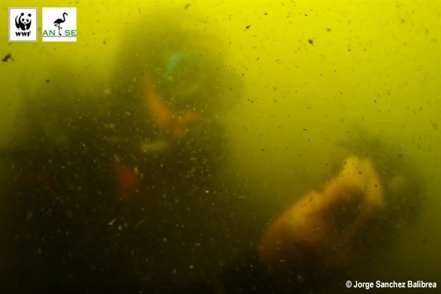 Medio Ambiente inicia el procedimiento de evaluación ambiental para buscar una solución al Mar Menor