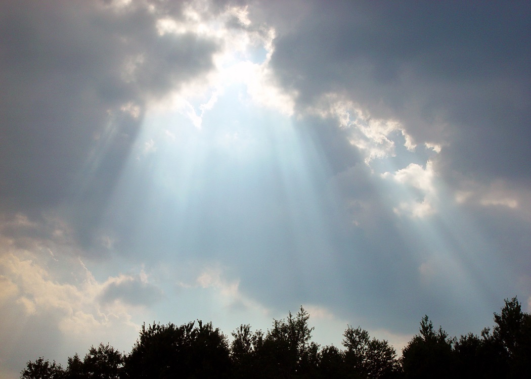 Mediterrània inicia una recogida de firmas online para pedir que se realice un estudio epidemiológico en el Camp de Tarragona