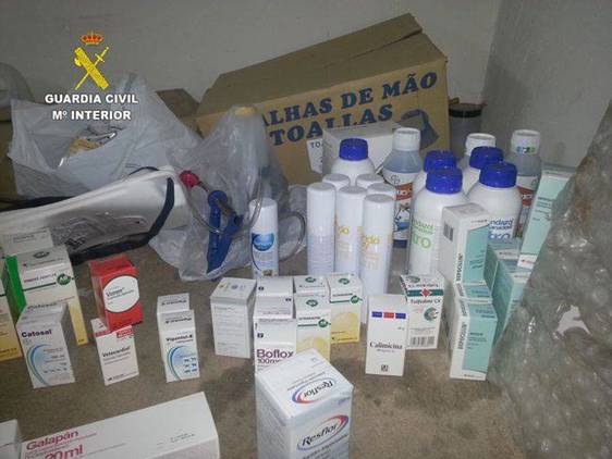 Desmanteladas dos clínicas veterinarias clandestinas en León